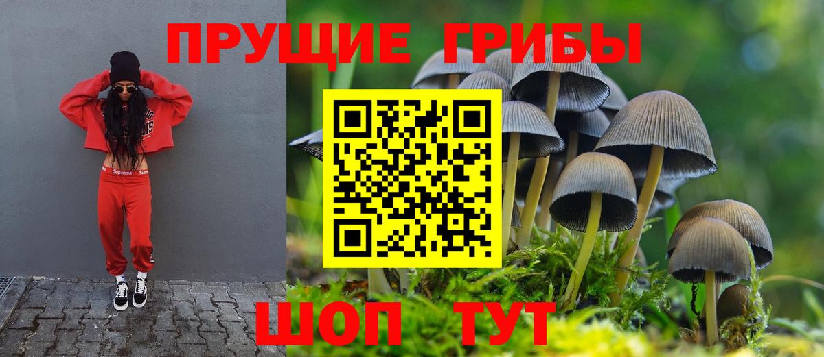 Галлюциногенные грибы Psilocybe  Вход с VPN  Луховицы 